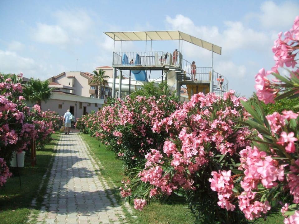 Hintereingang Hane Family Resort