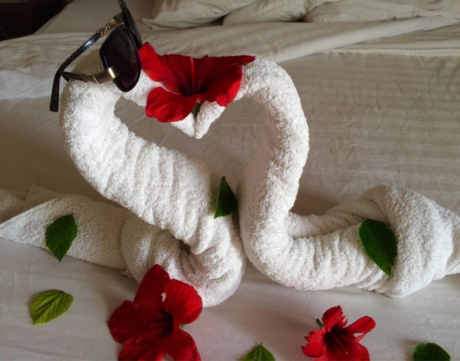 Die Kunst des Faltens Three Corners Sea Beach Resort