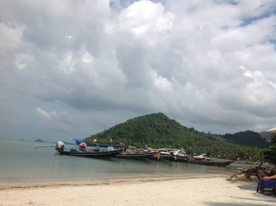 Plaża AVANI+ Samui Resort