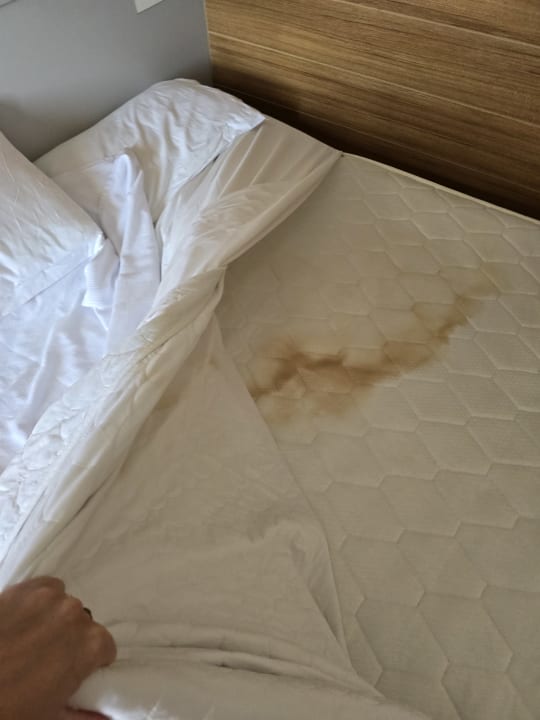 Zimmer Club Hotel Anjeliq