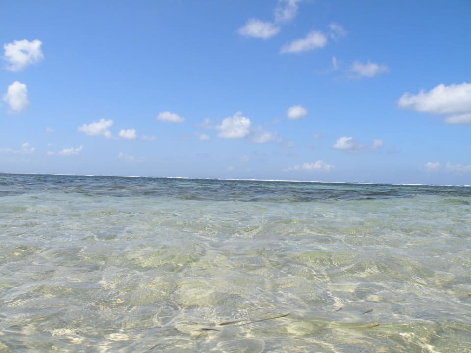 Klares Wasser The Westin Resort Nusa Dua, Bali