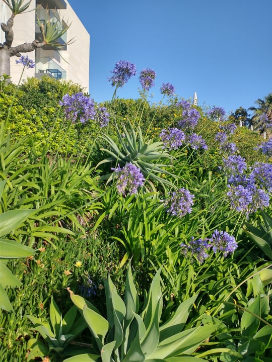Gartenanlage Hotel Golden Residence
