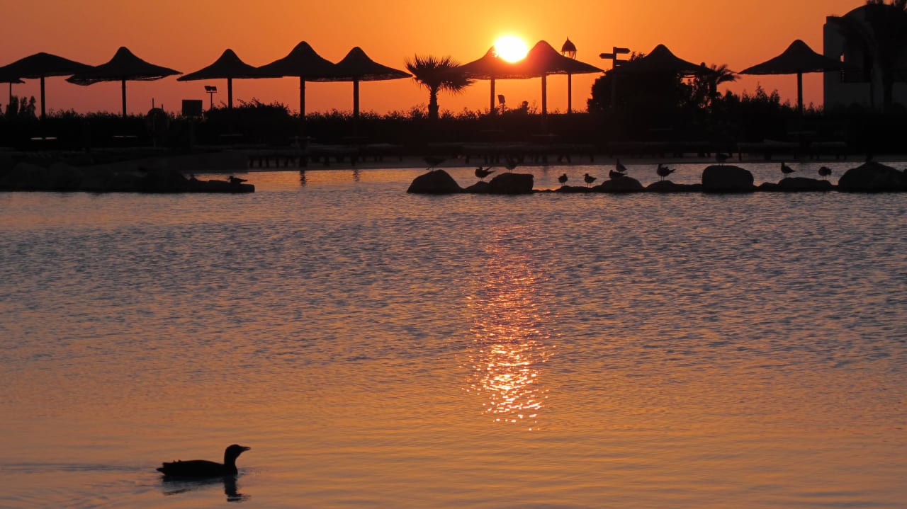 Sonnenaufgang Hotel Gorgonia Beach Resort