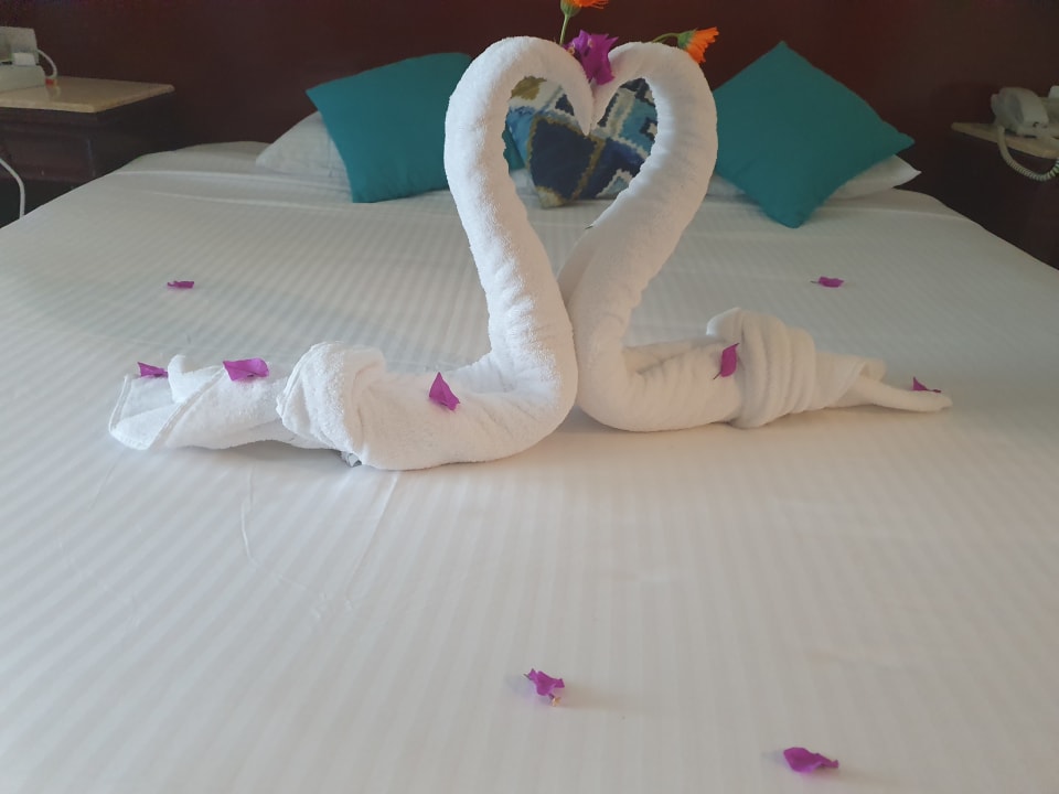 Zimmer Malikia Resort Abu Dabbab