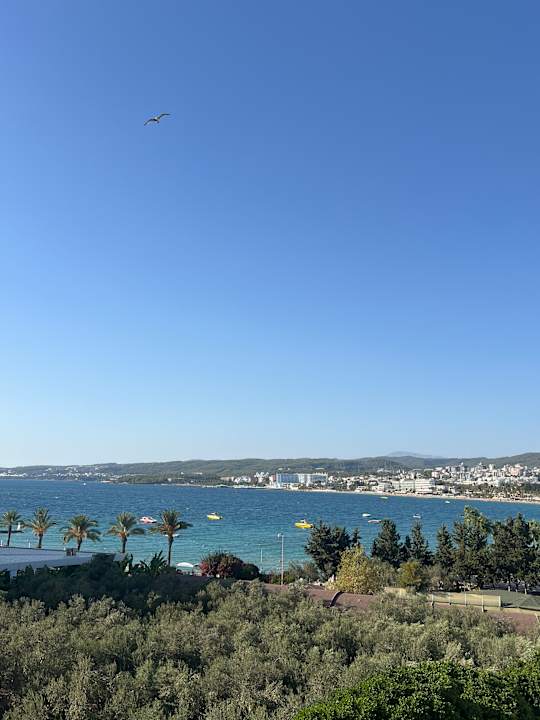 Ausblick Gold Island Mondo