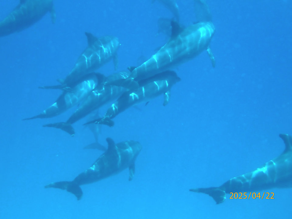 Strand Makadi Palace