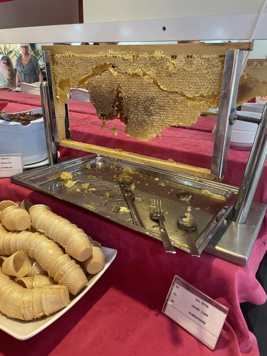 Gastro Hotel Gardenia Beach