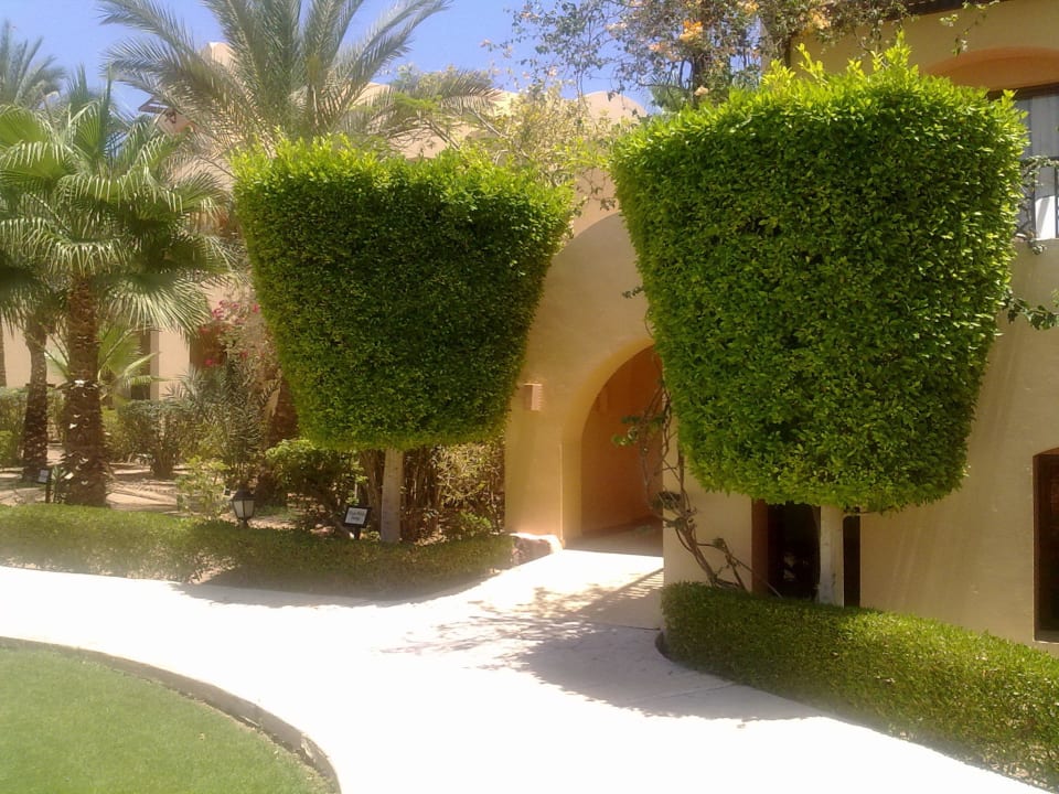 Die Wege zu den Zimmern Steigenberger Coraya Beach - Adults only