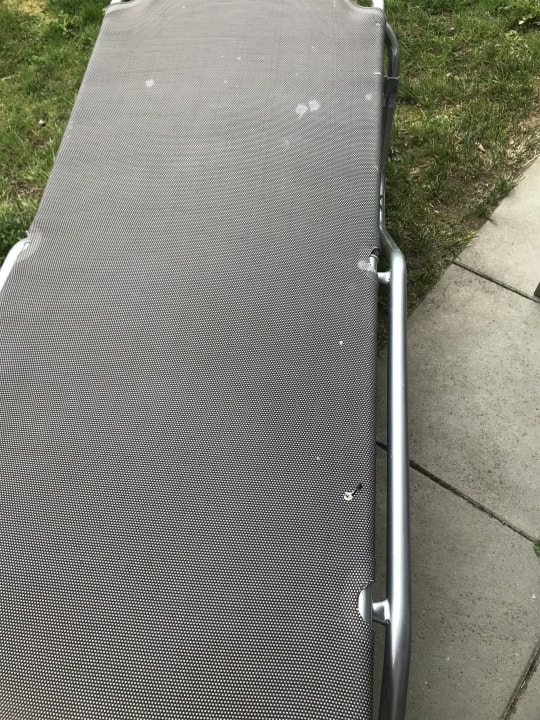 Gartenanlage BEECH Resort Boltenhagen