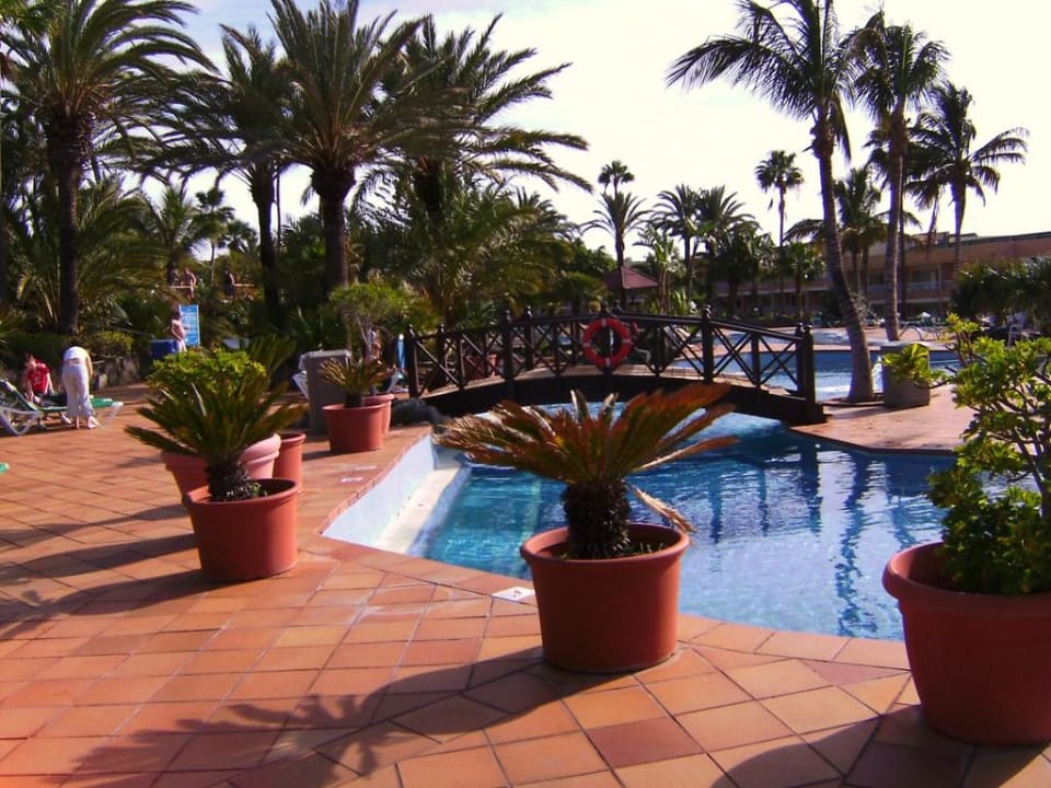 Teilansicht des Rundpool`s Abora Interclub Atlantic by Lopesan Hotels