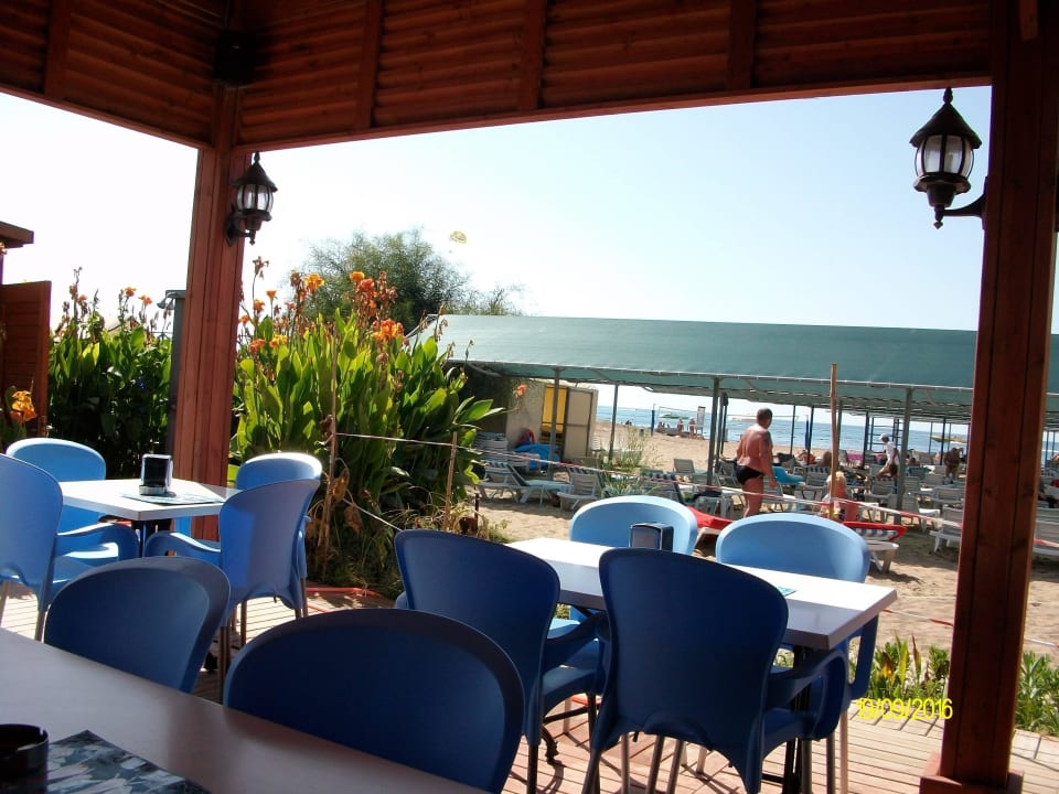 Beach Bar Palm World Side Resort & Spa