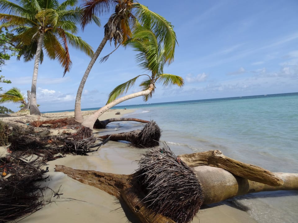 Grand Bahia Principe El Portillo Bahia Principe Grand El Portillo