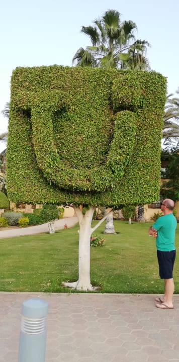 Gartenanlage Steigenberger Coraya Beach - Adults only