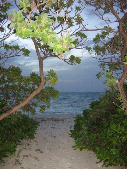 Plage au soir Meeru Maldives Resort Island