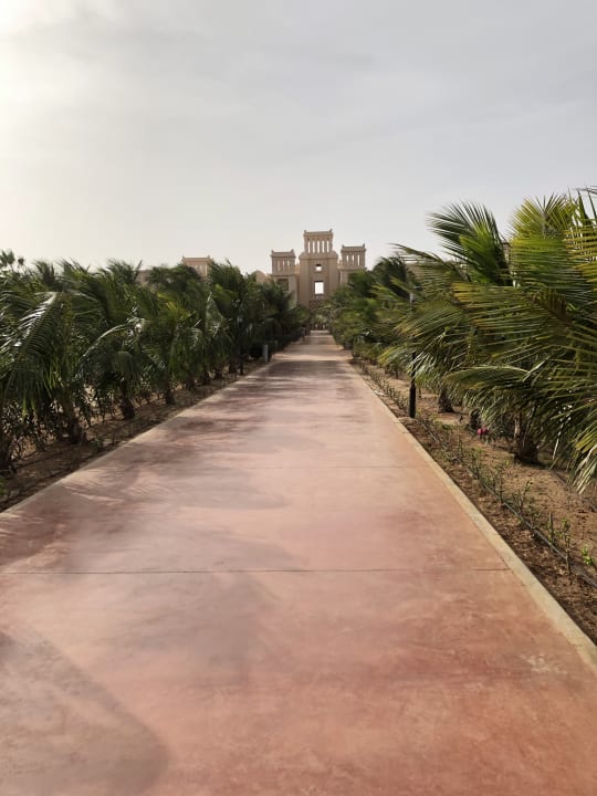 Gartenanlage Hotel Riu Touareg