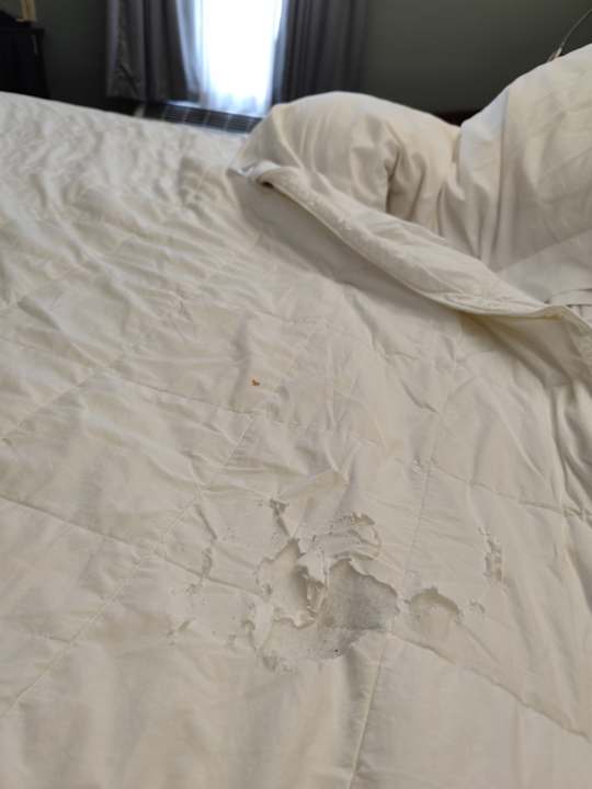 Zimmer Quality Inn Kingsport South