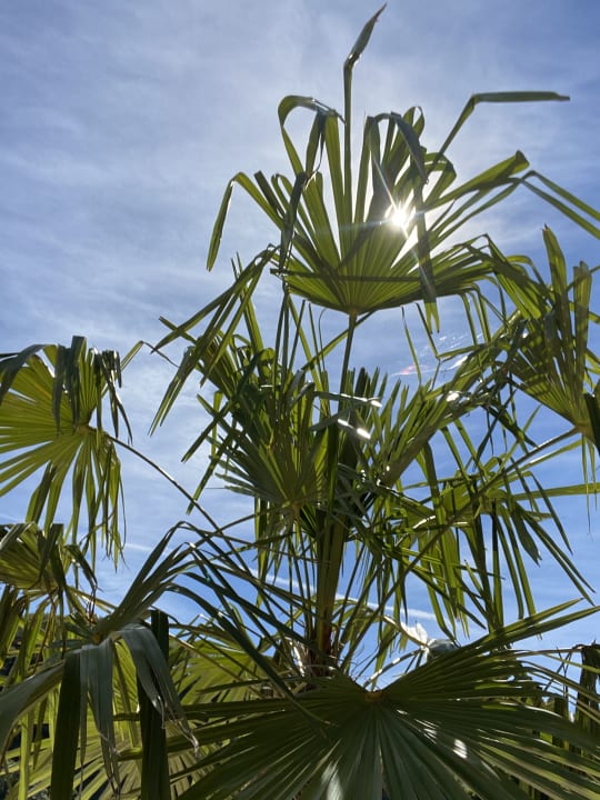 Gartenanlage Wiesenberghof