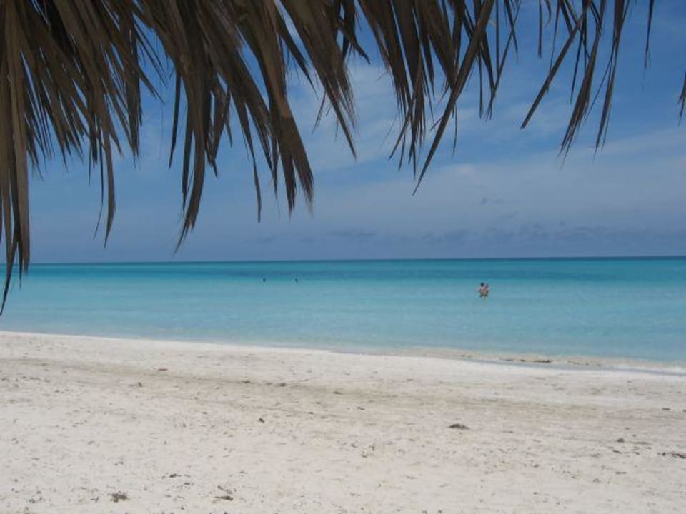 Hotel-Strand Sandals Royalton Hicacos Resort & Spa - Adults only