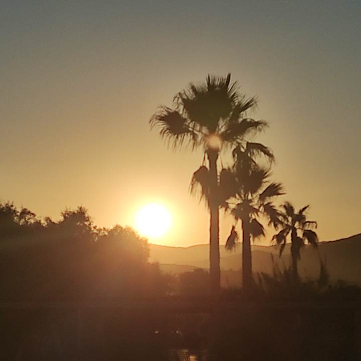 Sonstiges allsun Hotel Carolina Mare