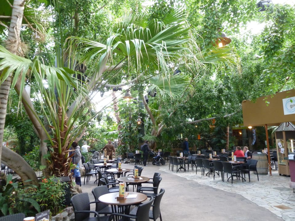 Marketdome Center Parcs De Kempervennen