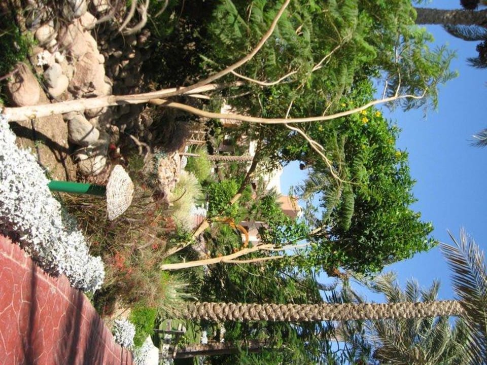 Weg durch die Anlage Hotel Nubian Village