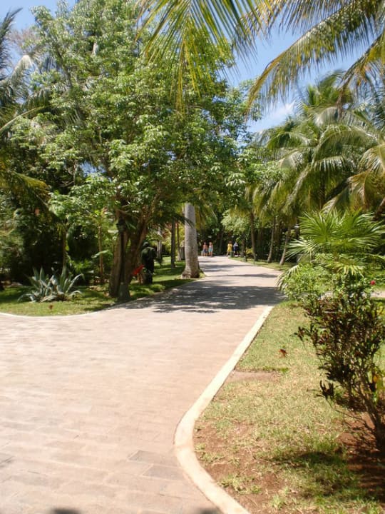 Die gepflegte Gartenanlage  Hotel Riu Tequila