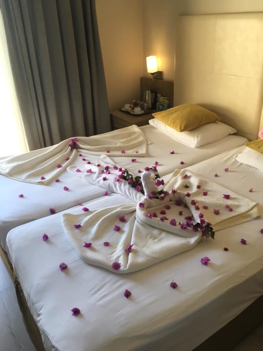 Zimmer Calimera Hane Garden