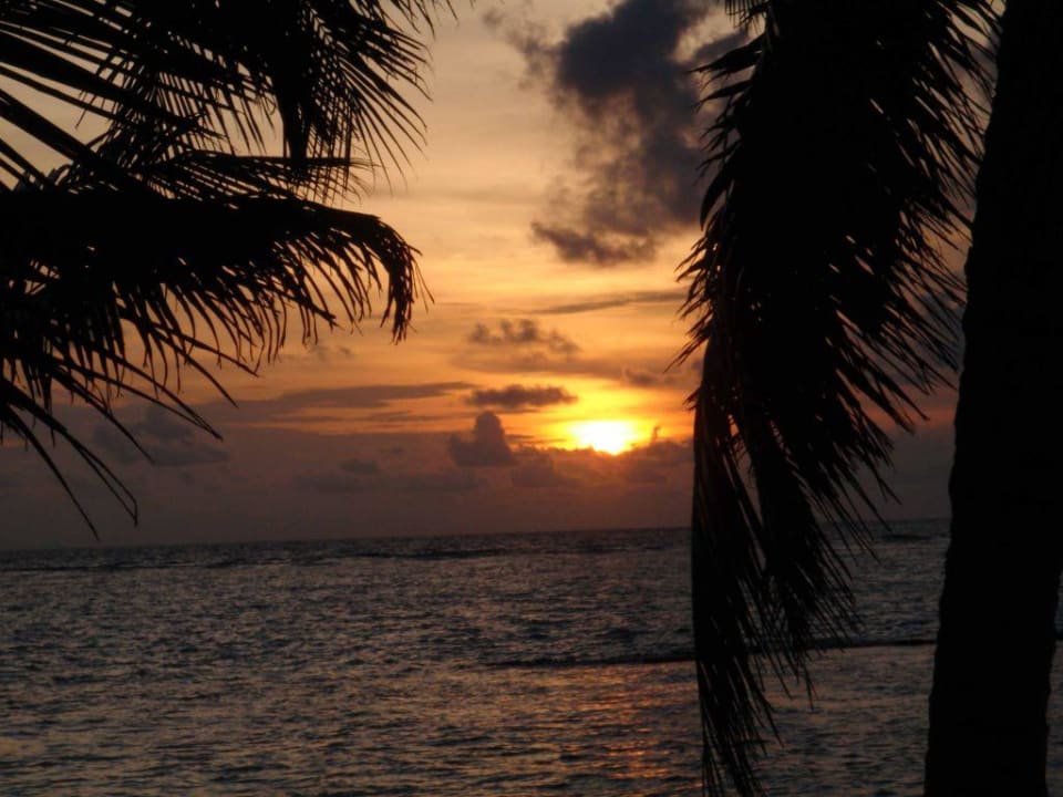 Sonnenuntergang am Bungi 61 Summer Island Maldives