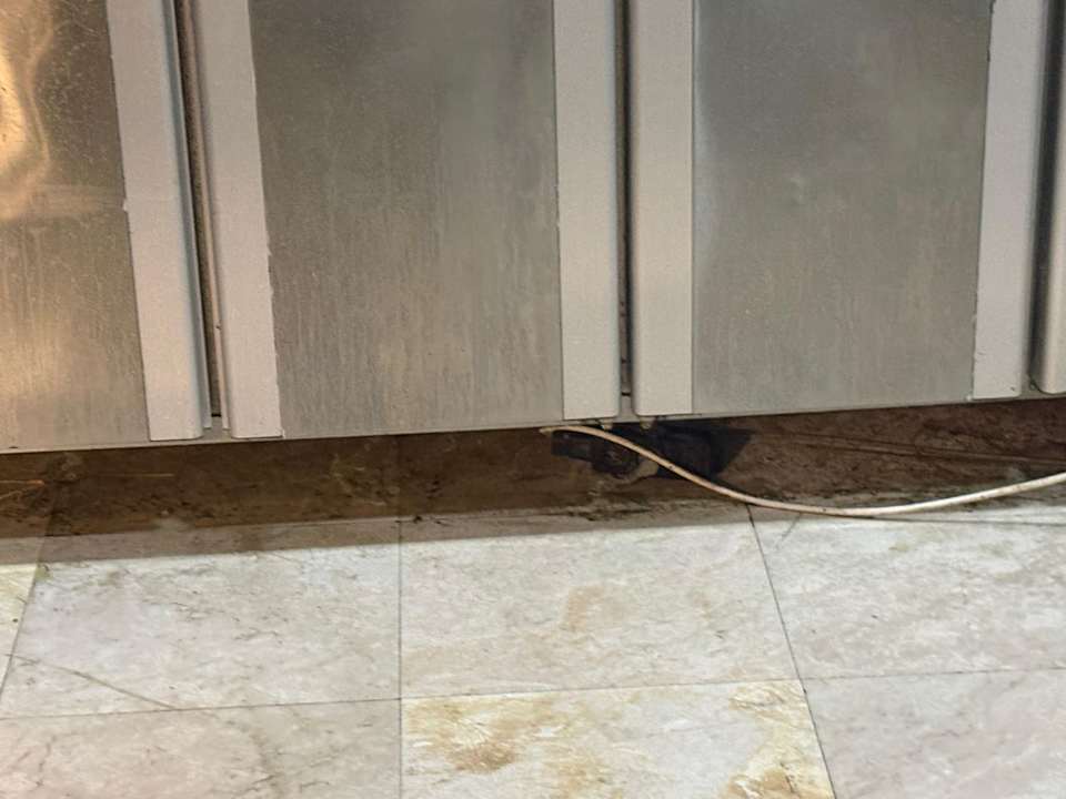 Sonstiges Hotel Orfeus Park