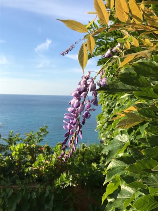 Gartenanlage Aldiana Club Rocca Nettuno Calabria