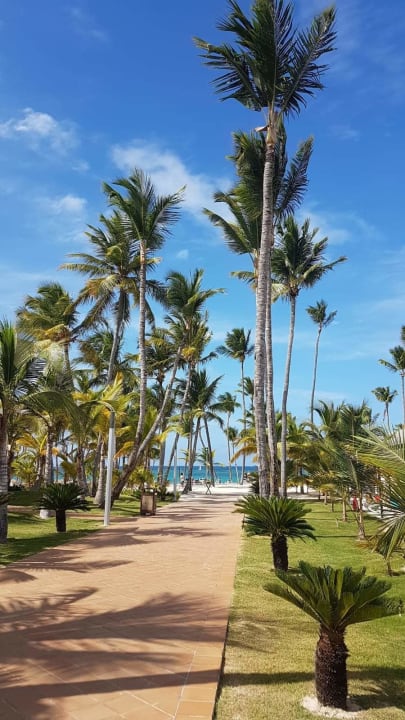 Außenansicht Hotel Riu Bambu