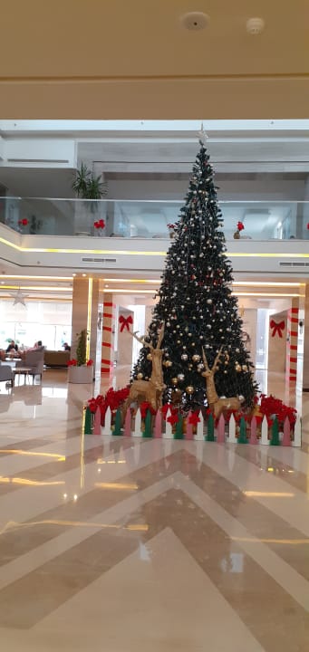 Lobby Amarina Abu Soma Resort & Aquapark