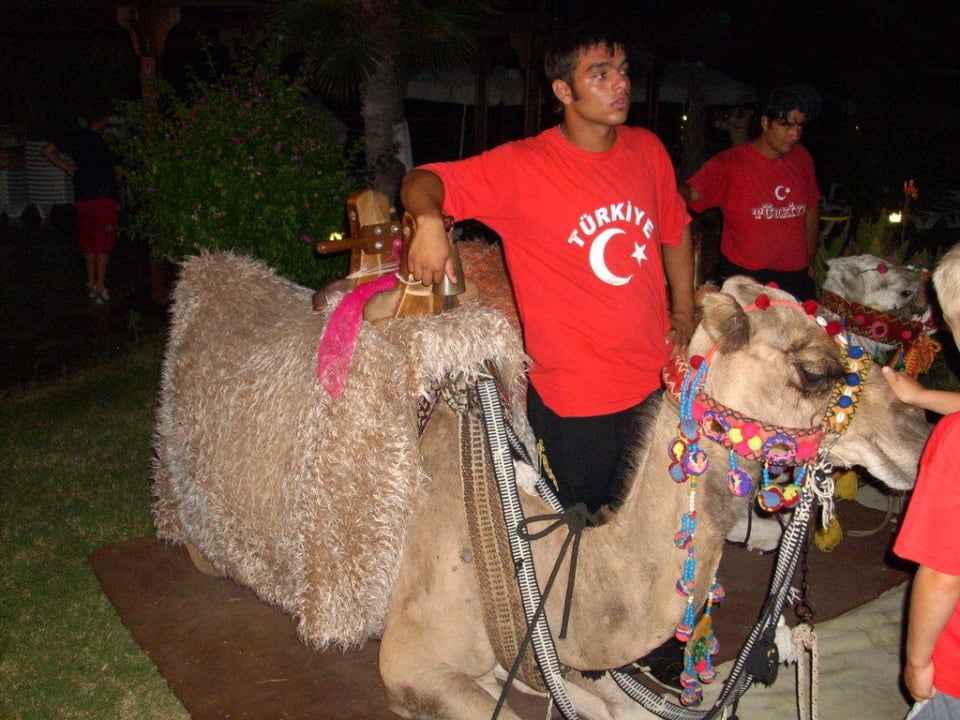 Türkischer Abend Calimera Serra Palace