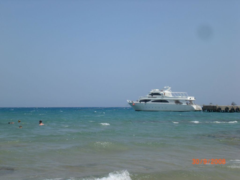 Strand - so klar und schön das Wasser! Pickalbatros Alf Leila Wa Leila Resort - Neverland Hurghada