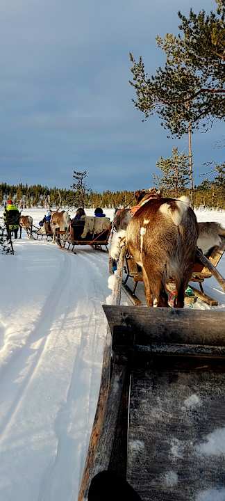 Sport & Freizeit Star Arctic Hotel