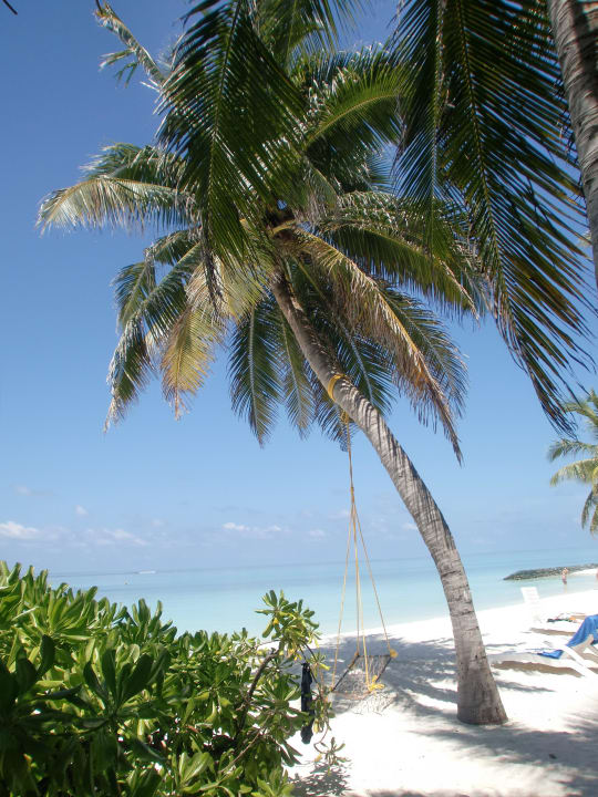 Traumstrand Summer Island Maldives