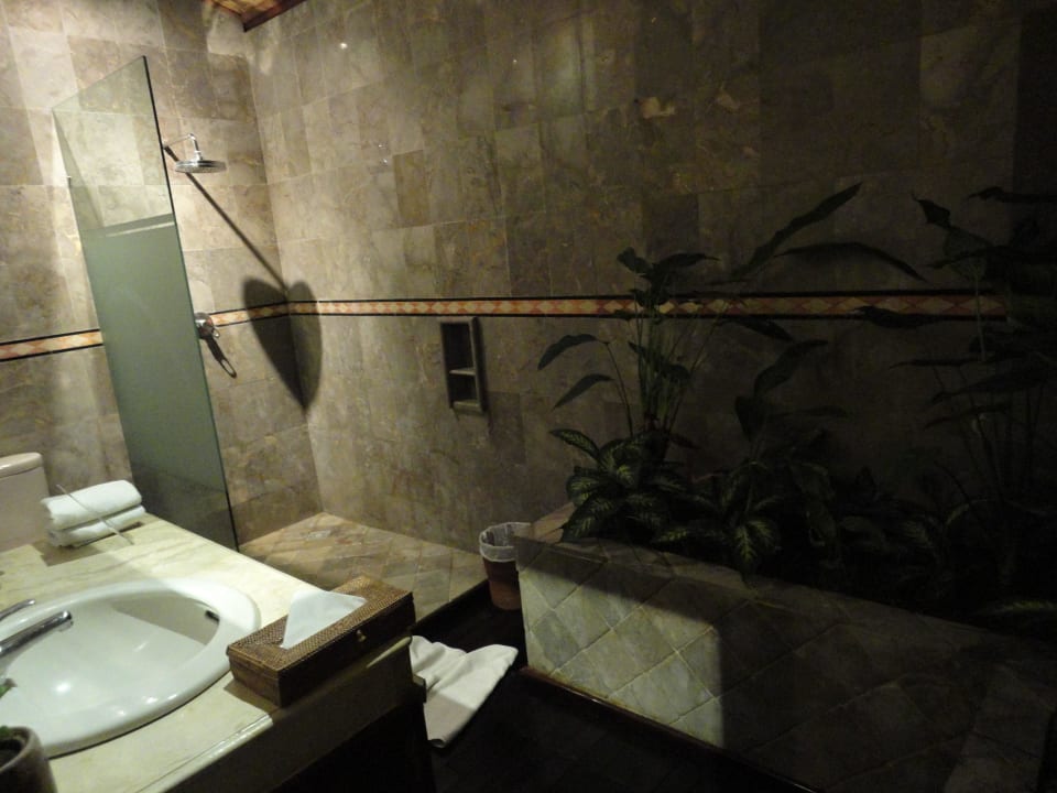 Bad Hotel Bali Villa Ubud