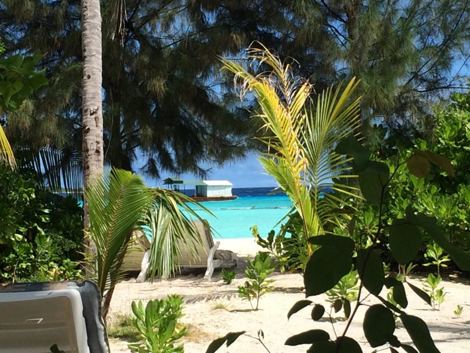 Vom Superiorbungalow Richtung Strand Ost Summer Island Maldives