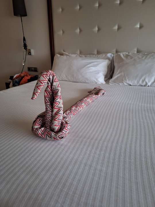 Zimmer TRS Turquesa Hotel - Adults only