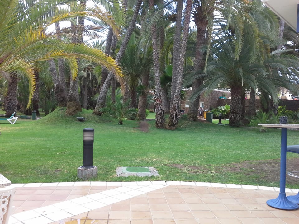 Gartenanlage Hotel Riu Palace Oasis