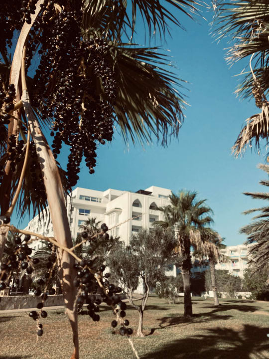 Gartenanlage Iberostar Selection Kantaoui Bay