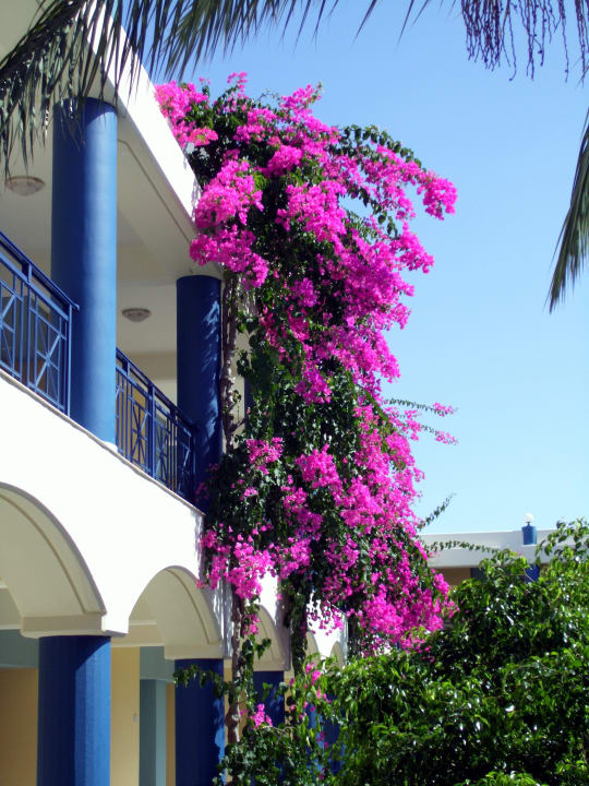 Garten Atrium Palace Thalasso Spa Resort & Villas