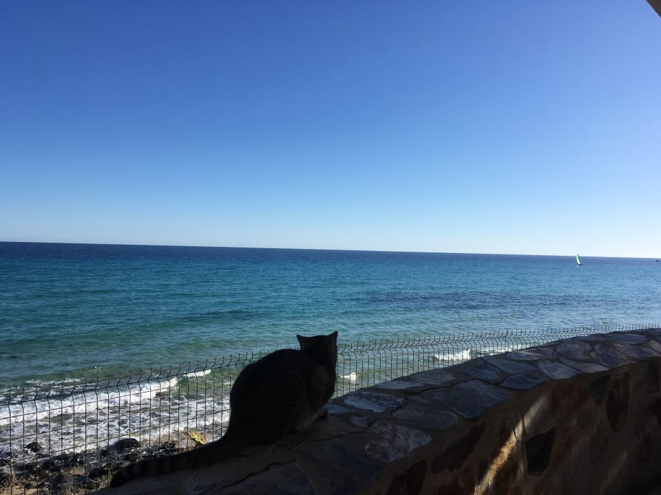 Sonstiges Aldiana Club Fuerteventura