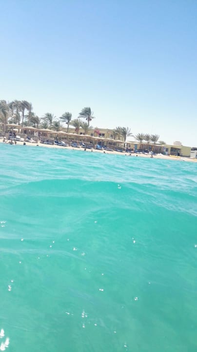 Der Hotelstrand Palm Beach Resort