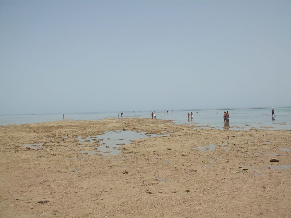 Procházka při odlivu Swisstouch Oriental Resort Marsa Alam