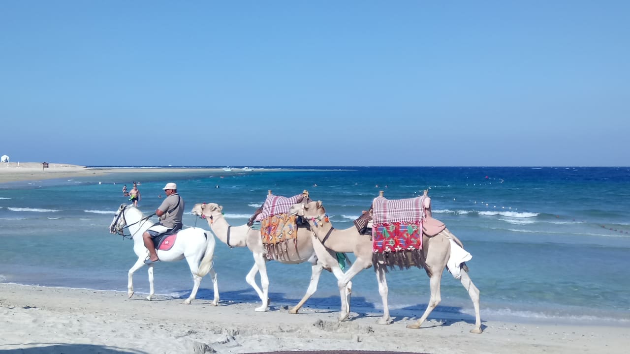 Strand Three Corners Sea Beach Resort