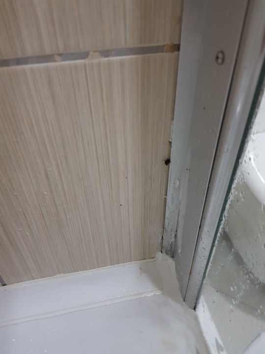 Zimmer FUN&SUN Smart Hane Sun Hotel