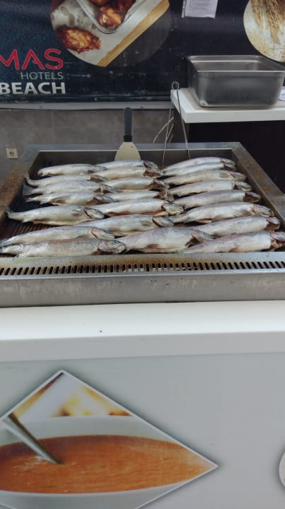 Gastro Armas Gül Beach