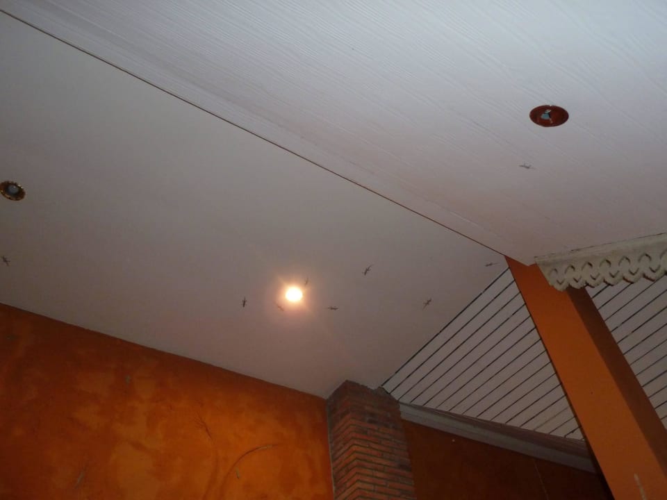 Draussen harmlose Insekten an der Decke Hotel Le Charme Sukhothai Resort