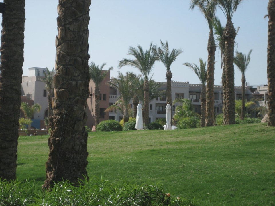 Garten Pickalbatros Sands Hotel - Port Ghalib